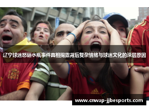辽宁球迷怒砸水瓶事件真相揭露背后复杂情绪与球迷文化的深层原因