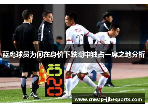 蓝鹰球员为何在身价下跌潮中独占一席之地分析