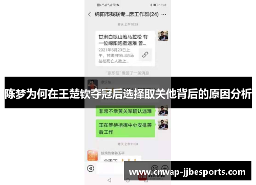 陈梦为何在王楚钦夺冠后选择取关他背后的原因分析
