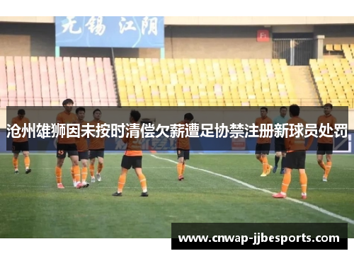 沧州雄狮因未按时清偿欠薪遭足协禁注册新球员处罚 沧州雄狮因未按时清偿欠薪遭足协禁注册新球员处罚